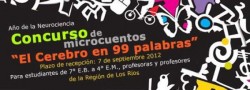 Afiche Concurso de Microcuentos 